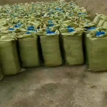 储青草
