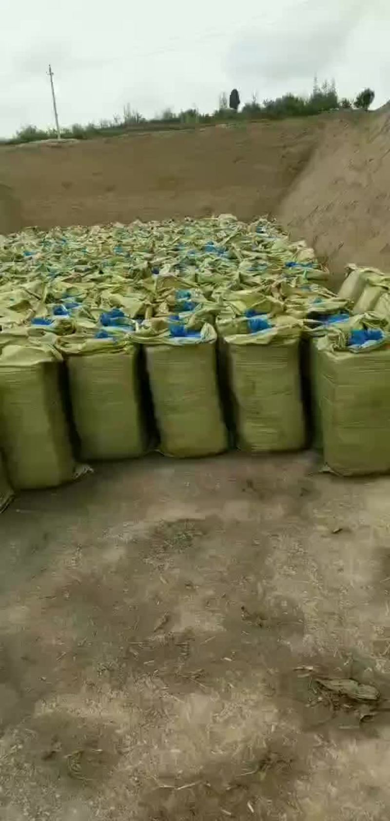 储青草