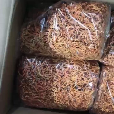 虫草花