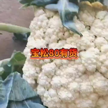 花菜