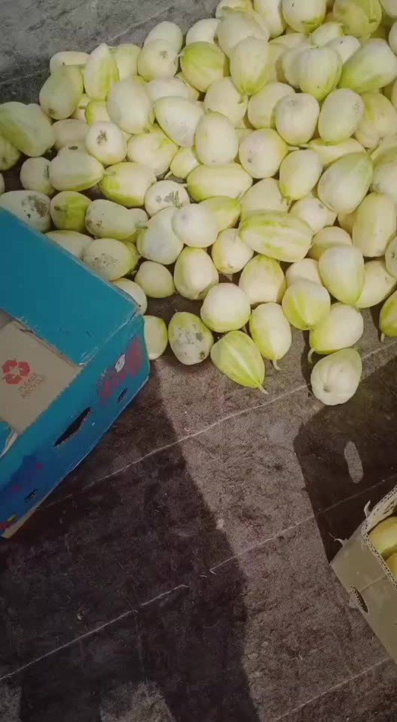 香瓜，西瓜