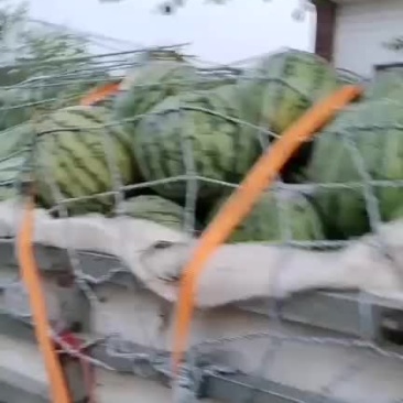 美都西瓜