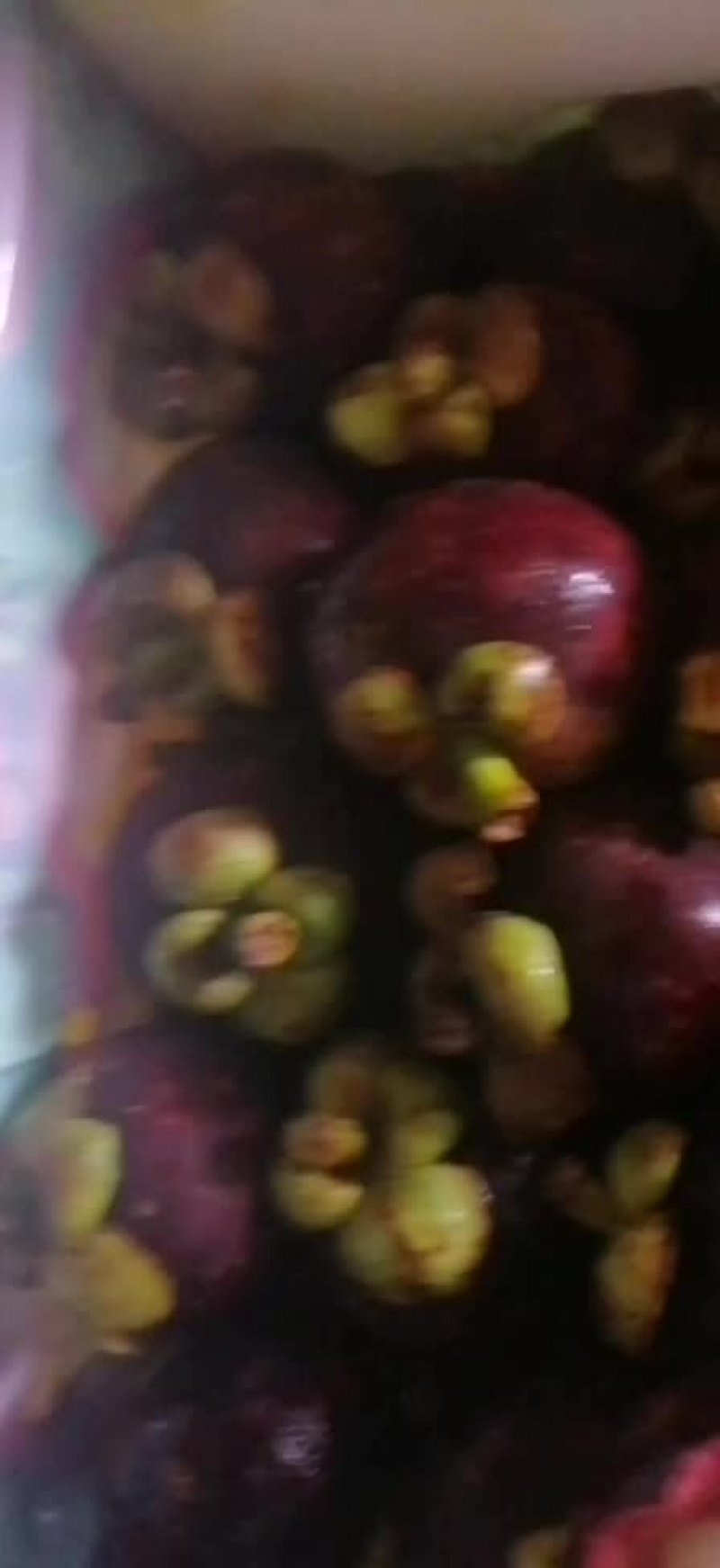 特价山竹