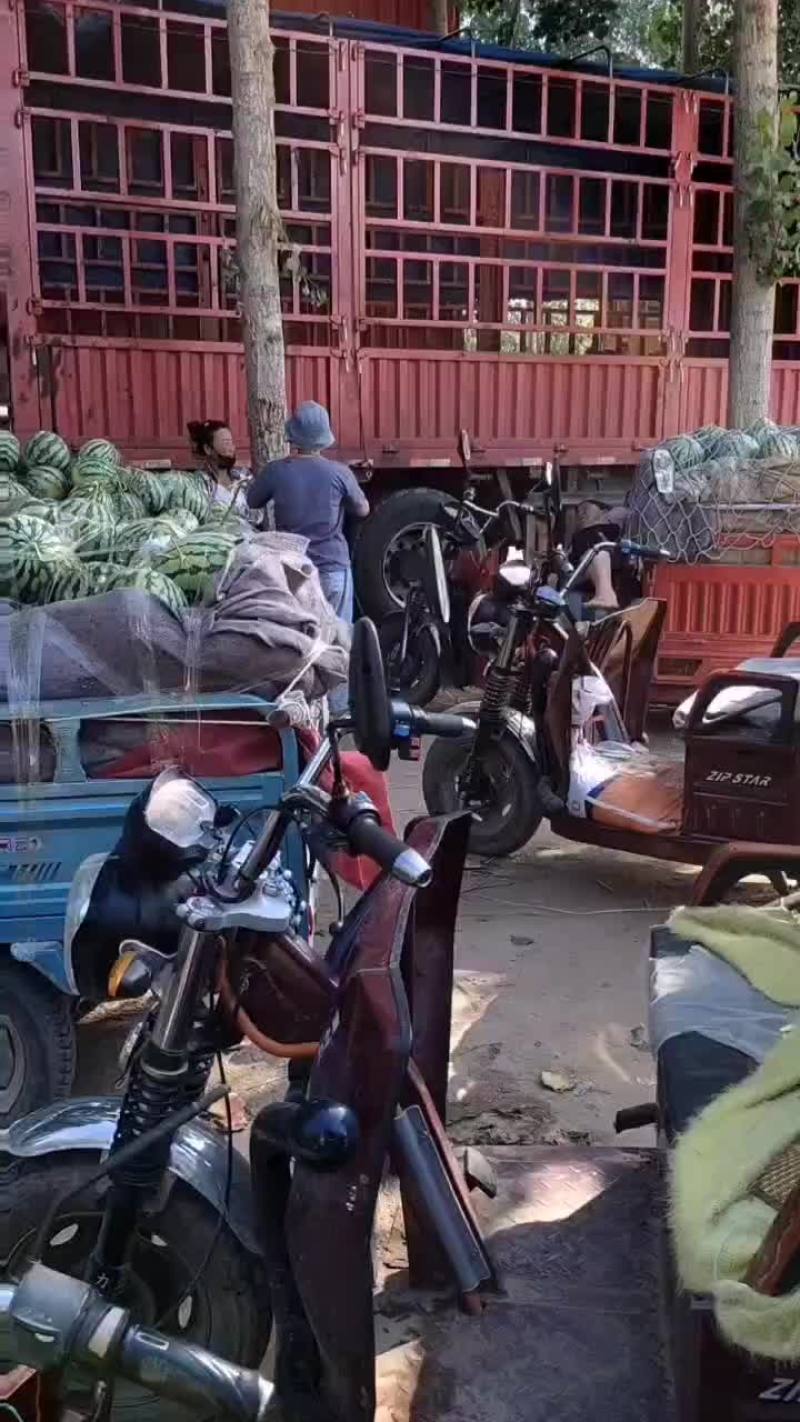 美都西瓜