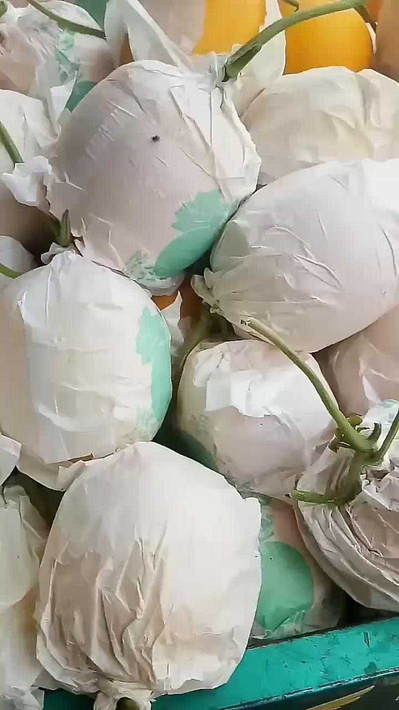 久红瑞头茬。毛病花皮瓜，个头单重345678,口感13个