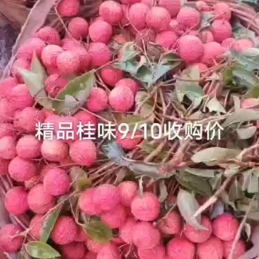 桂味精品