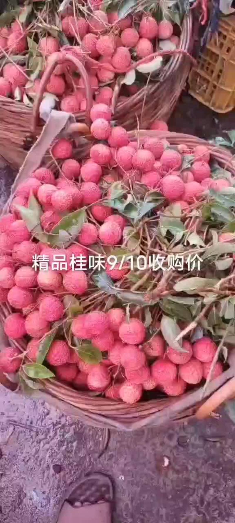 桂味精品
