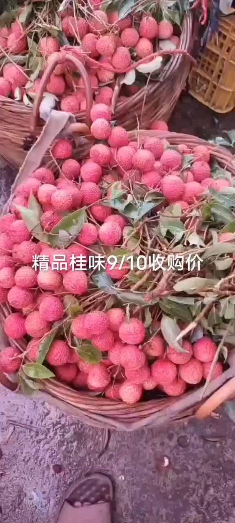 桂味精品