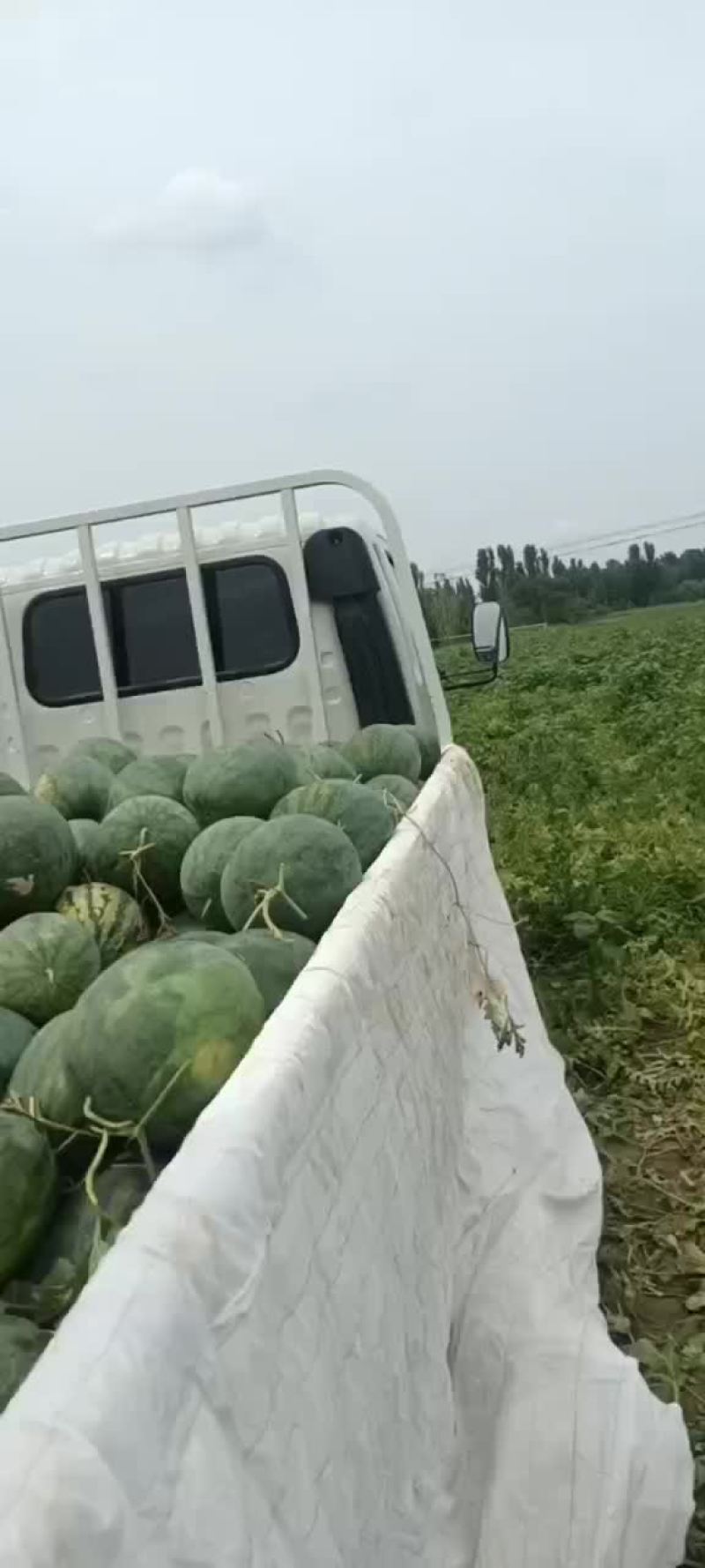 龙卷风