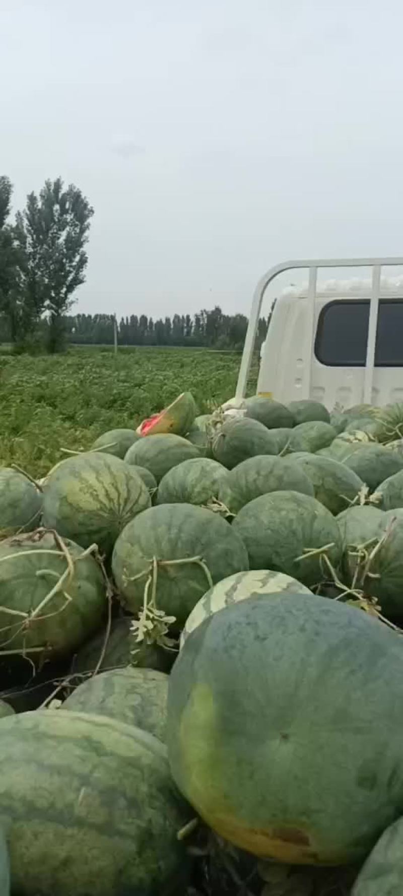 龙卷风