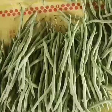 架豆王
