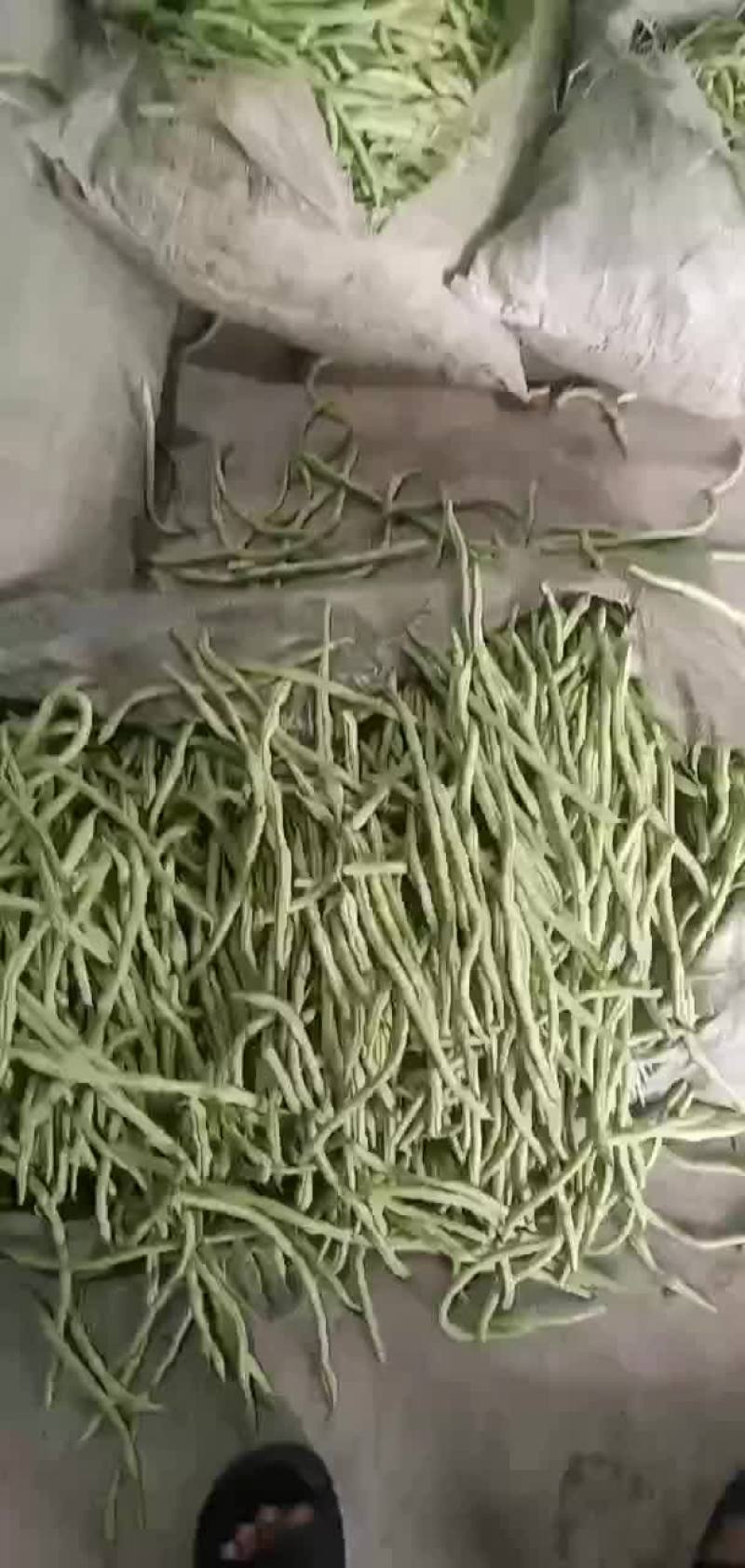 架豆王