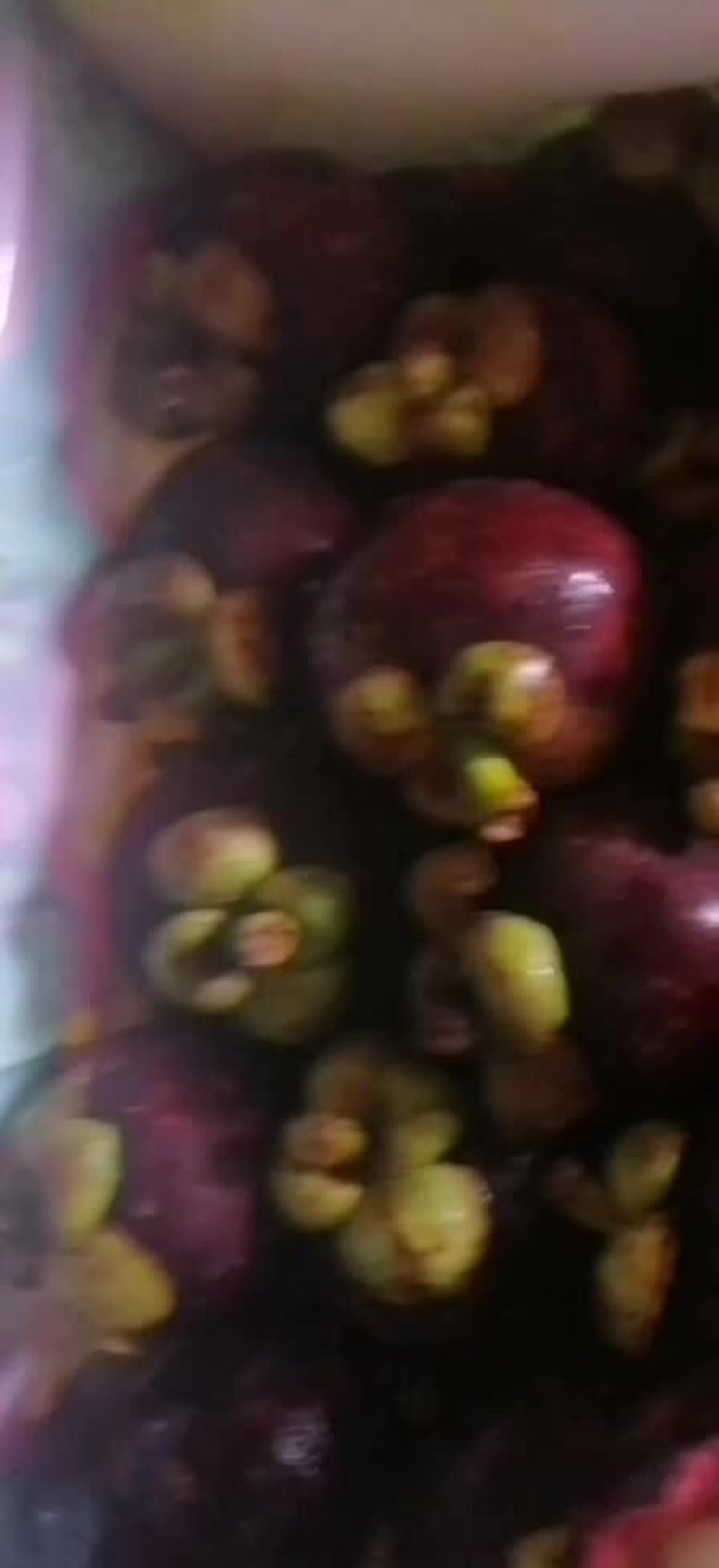 特价山竹