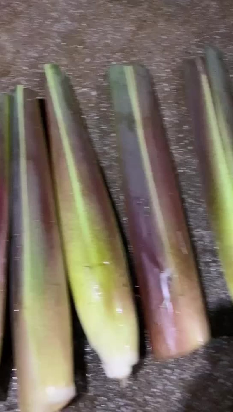 精品川茭