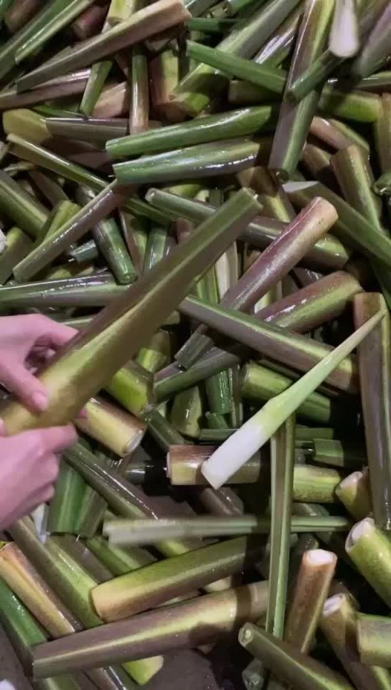 精品川茭