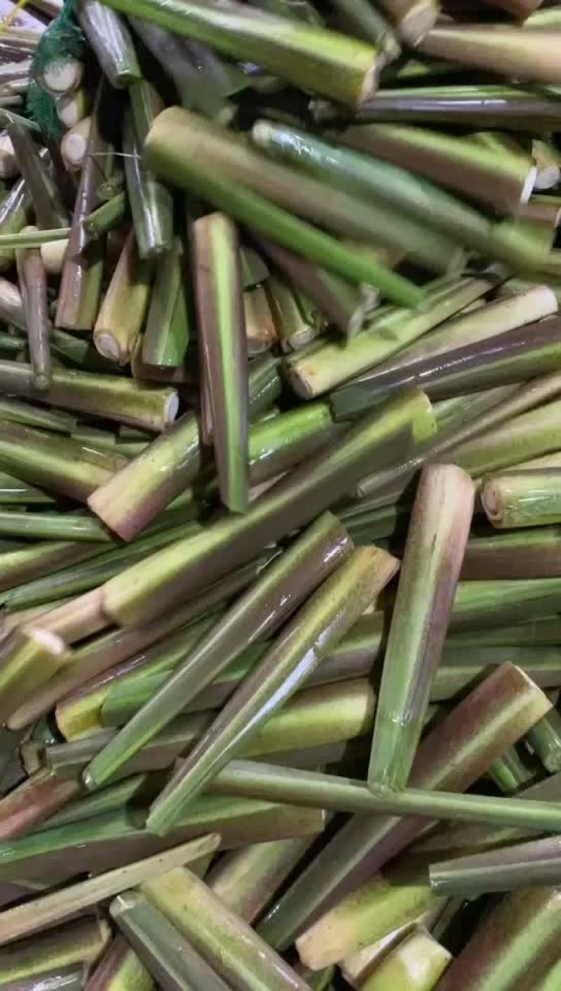 精品川茭