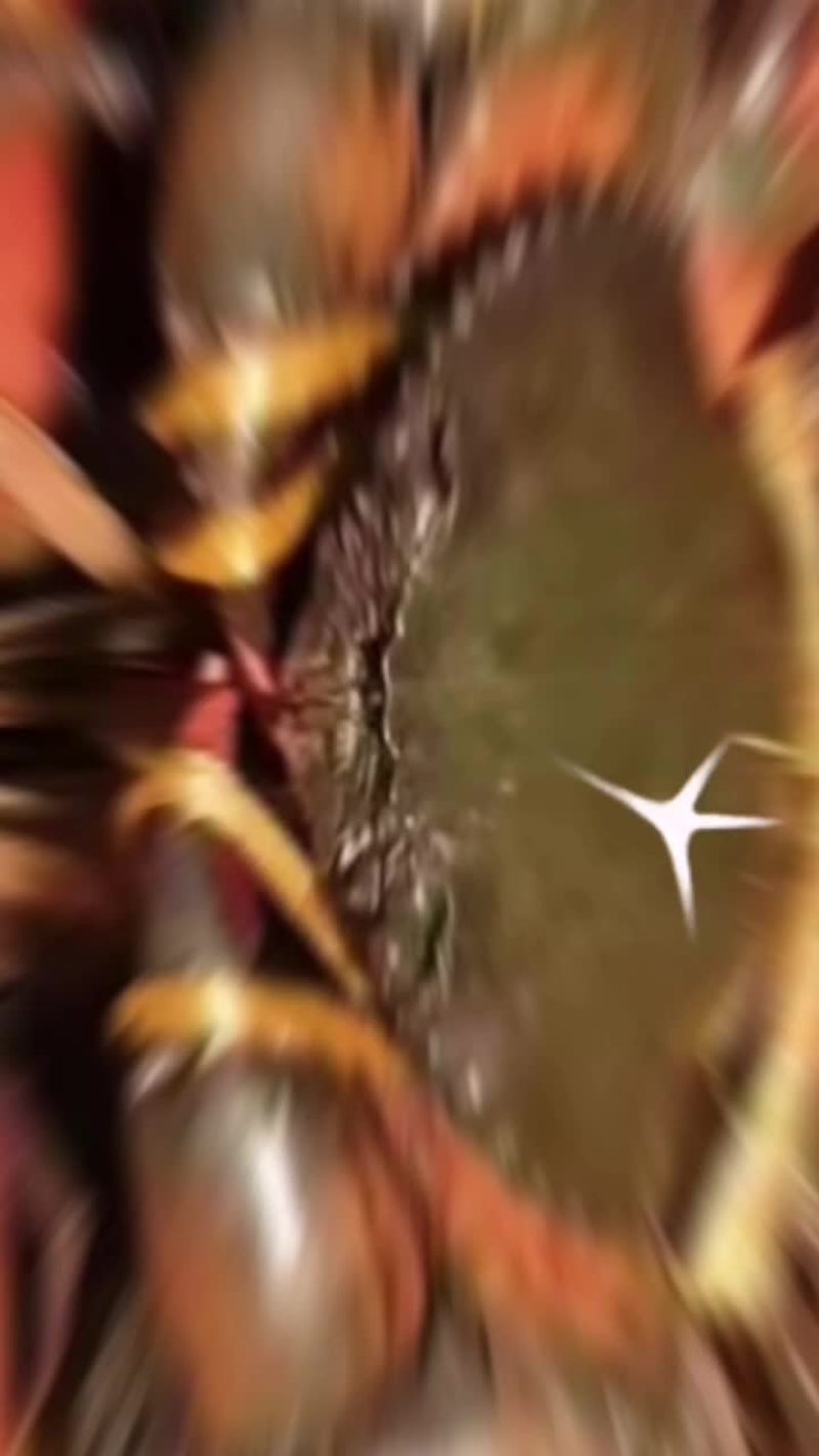一手货源