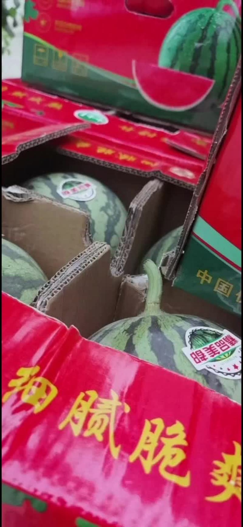 蒲城精品美都皮薄，壤红，汁水多口感脆甜，欢迎品尝