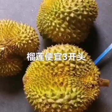 特价榴莲