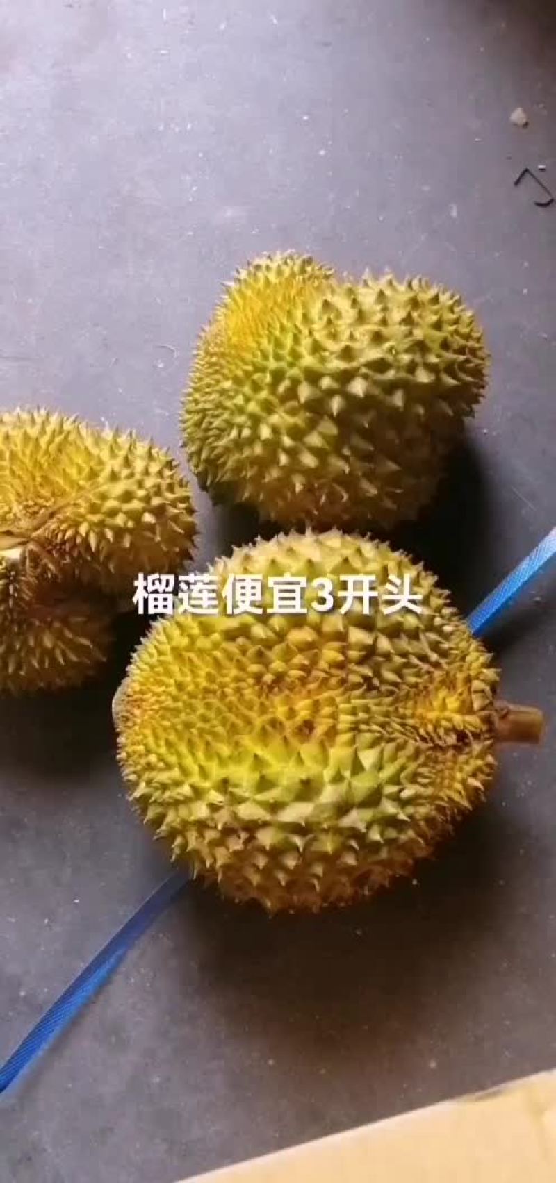特价榴莲