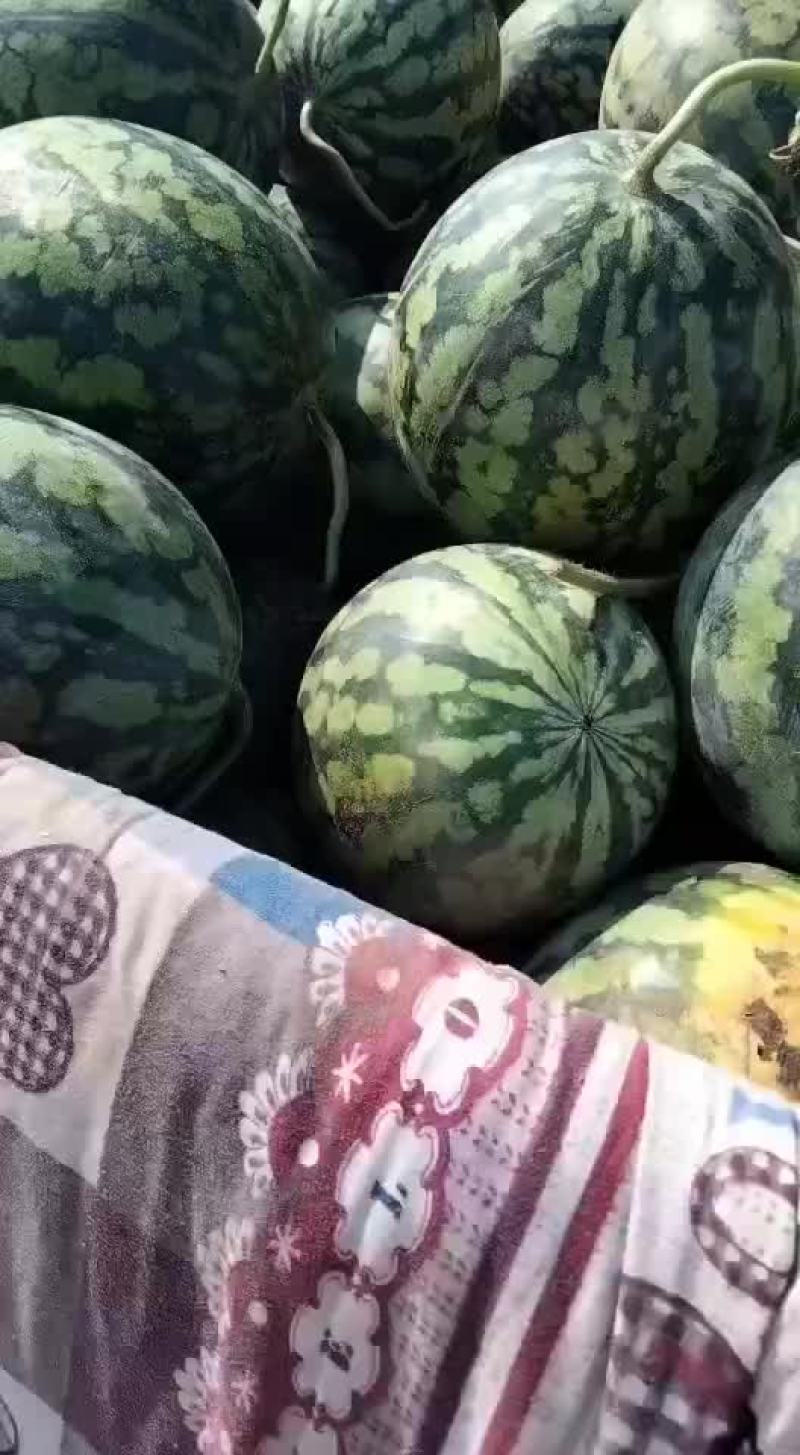 甜王西瓜有货要的老板联系