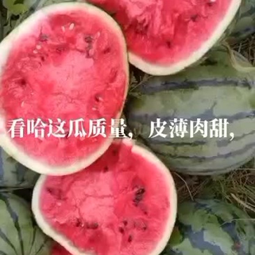 美都，皮薄肉甜，糖度以上以上，无空瓜，歪瓜，皮毛好，