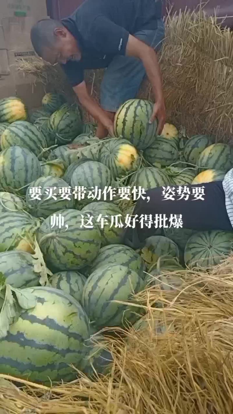 美都，皮薄肉甜，糖度以上以上，无空瓜，歪瓜，皮毛好，