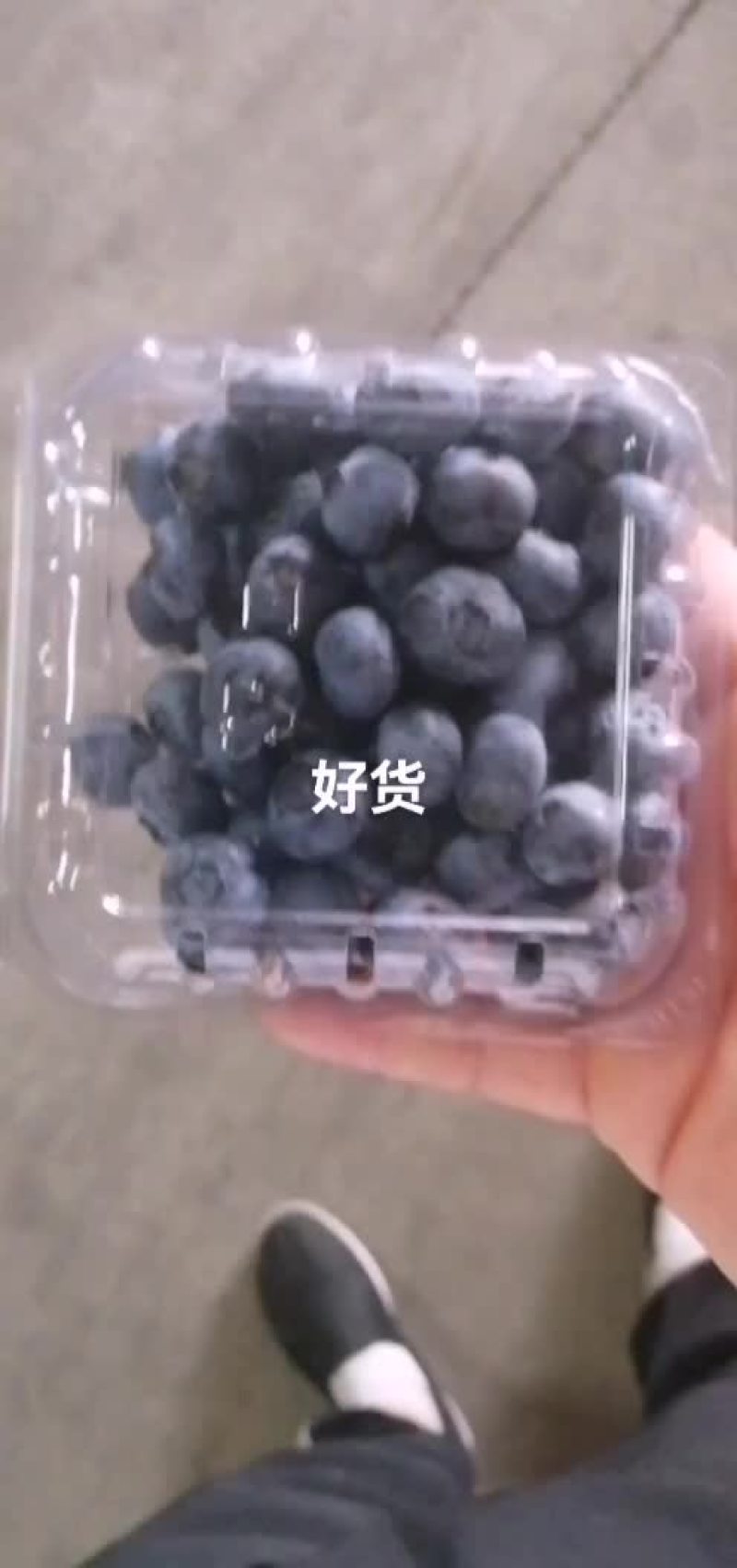 蓝莓特价