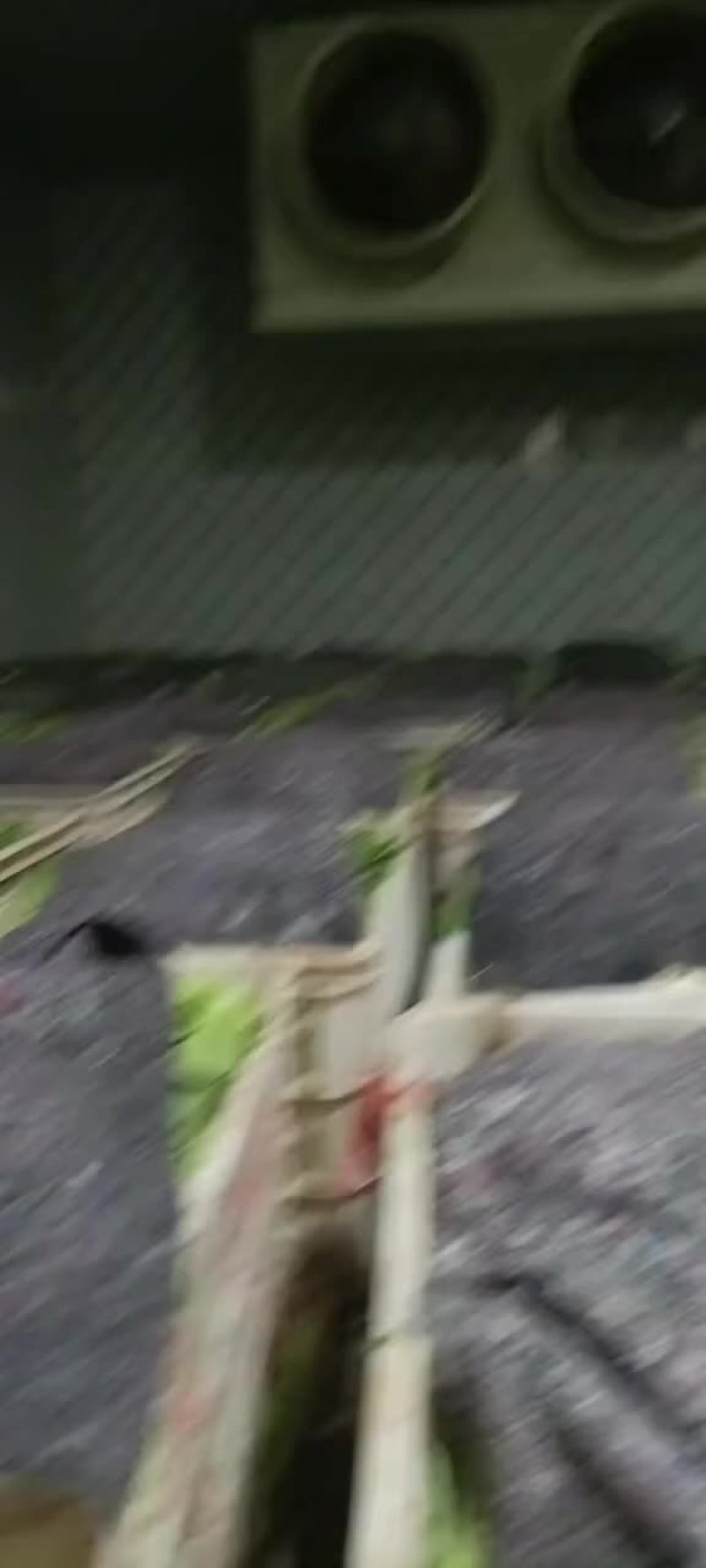 快菜