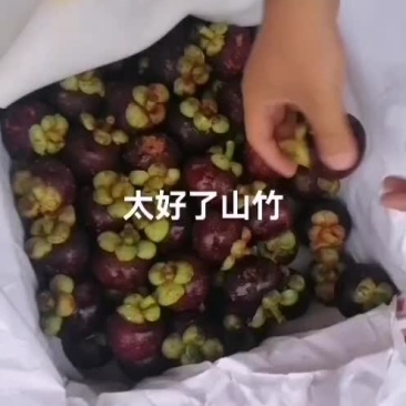 一级山竹