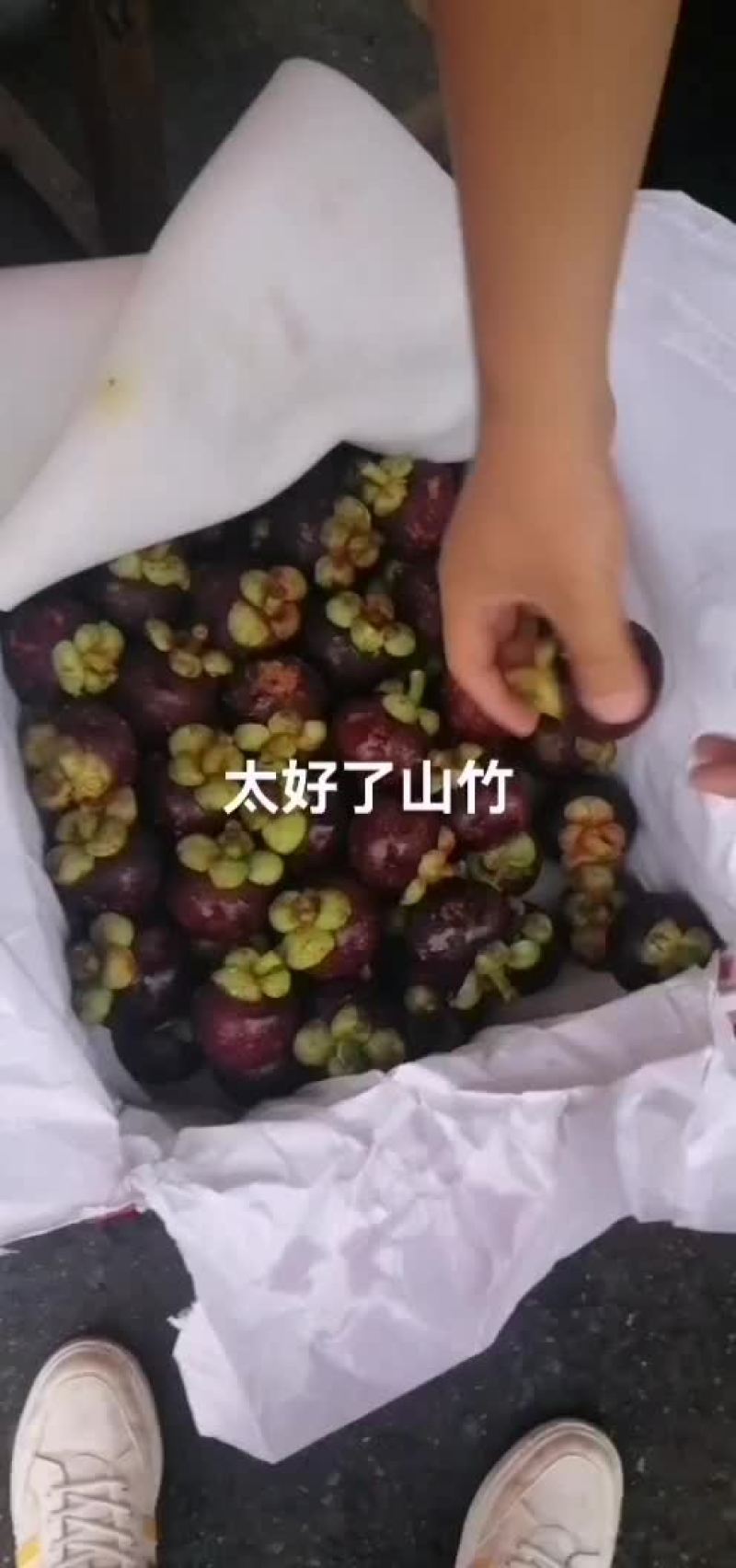 一级山竹
