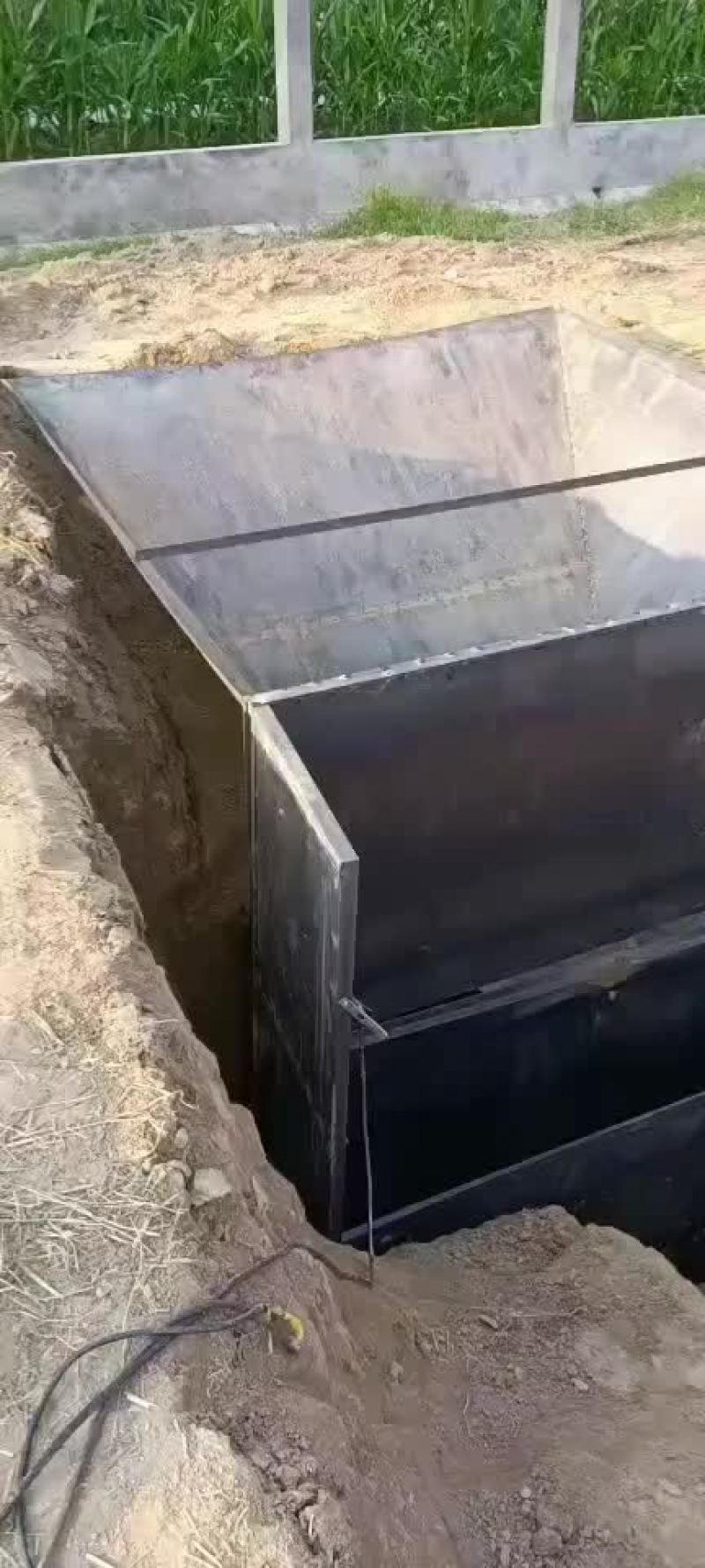 玉米脱粒机