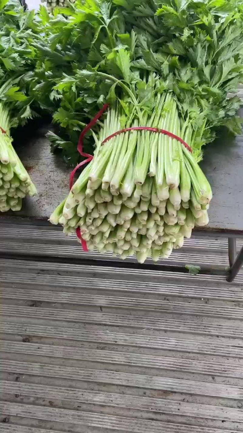 拔根割根芹菜