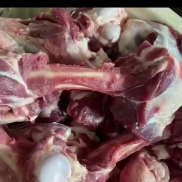 加肉羊棒骨