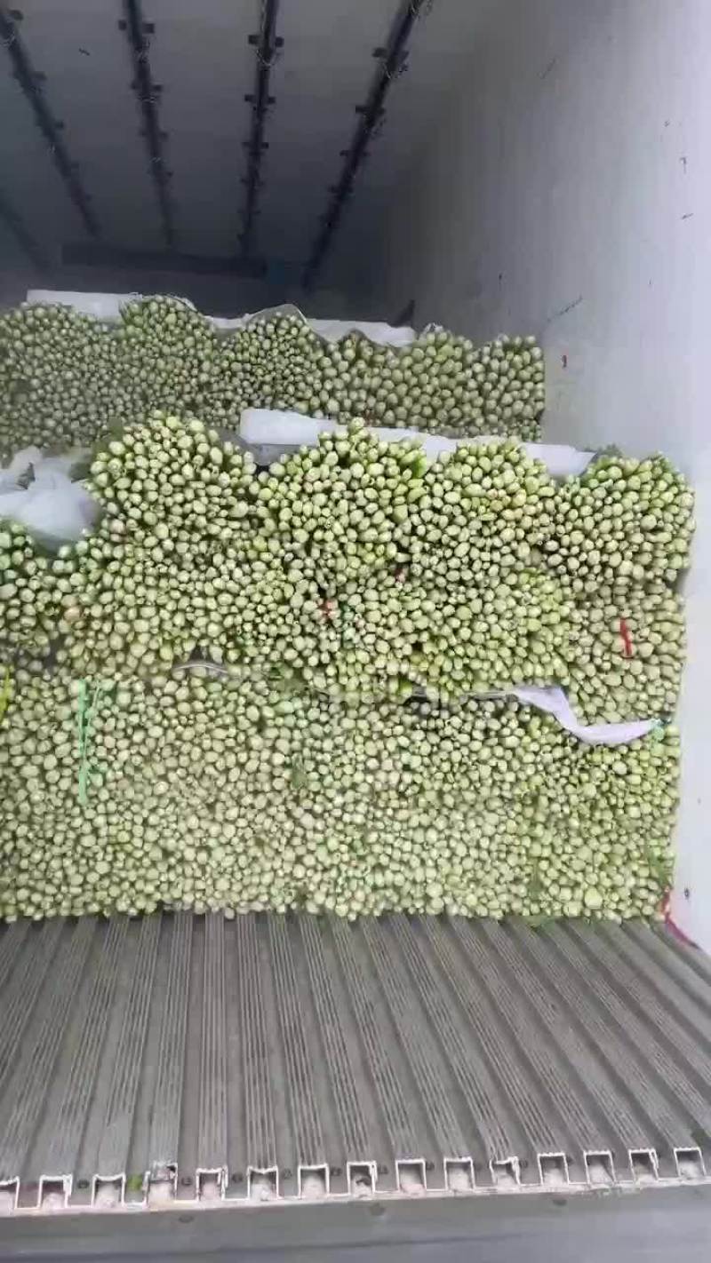 芹菜
