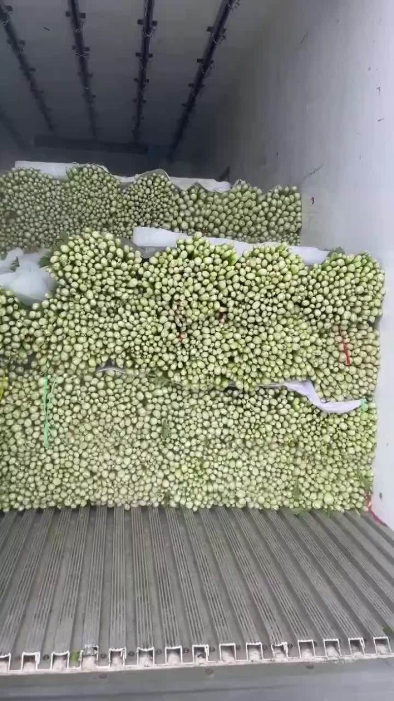 芹菜