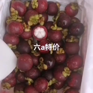 山竹特价