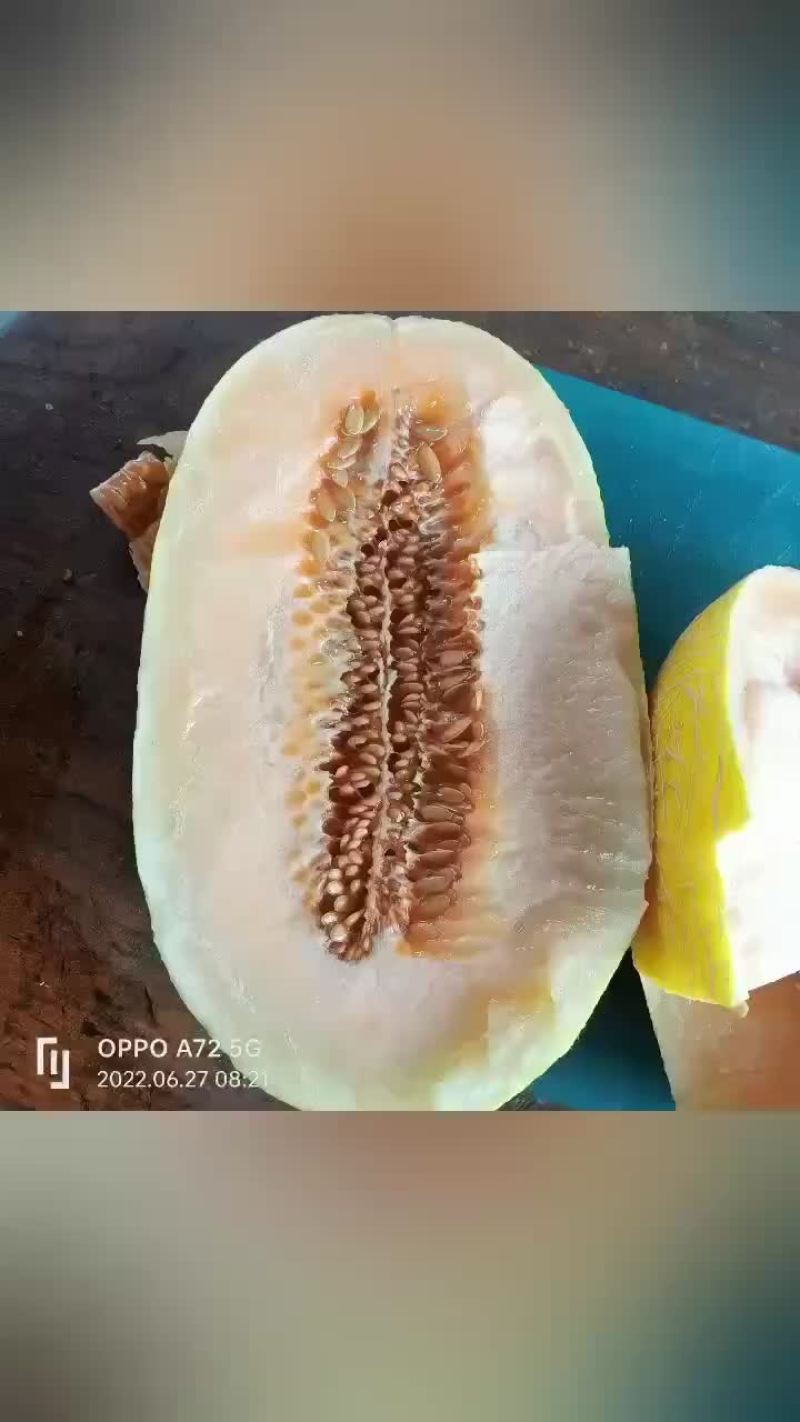 哈密瓜网纹一手货源优质产品产地资源优