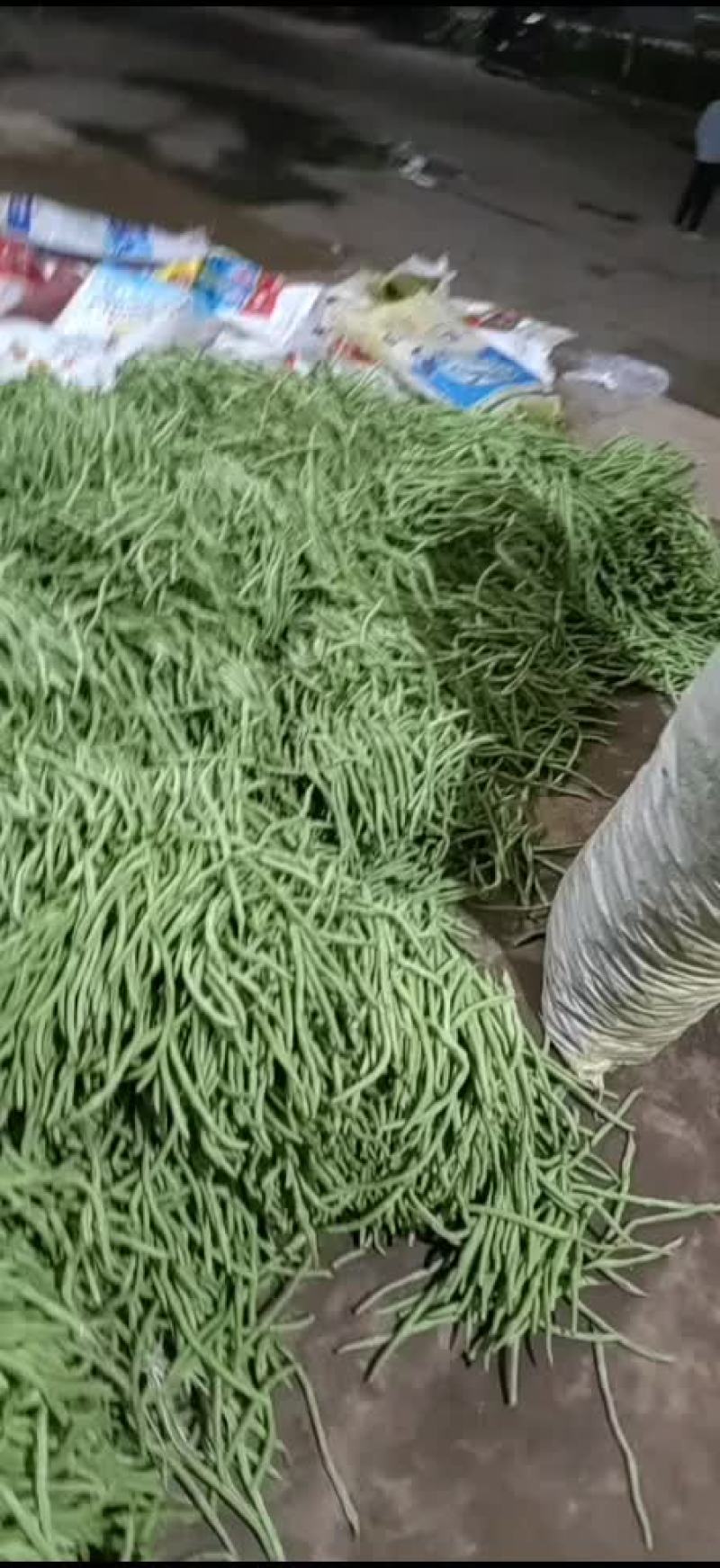 大量脱水豆角，不空，有条形，高下检