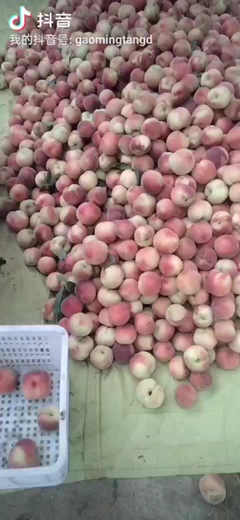 精品突围毛桃，颜色好看质量很好，口感一般般！！