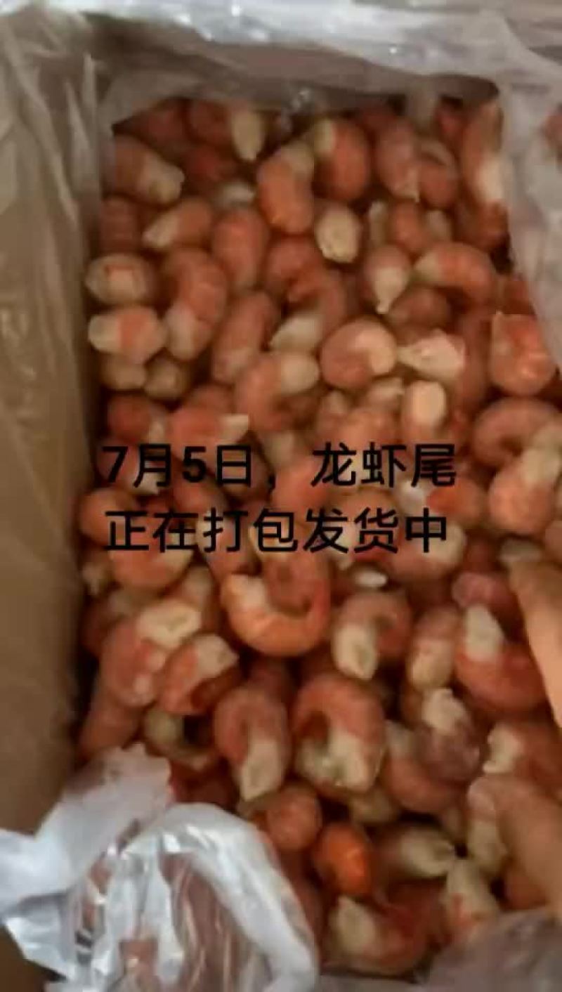 龙虾尾