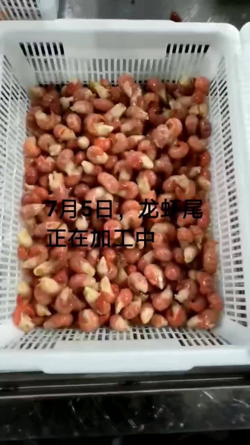 龙虾尾