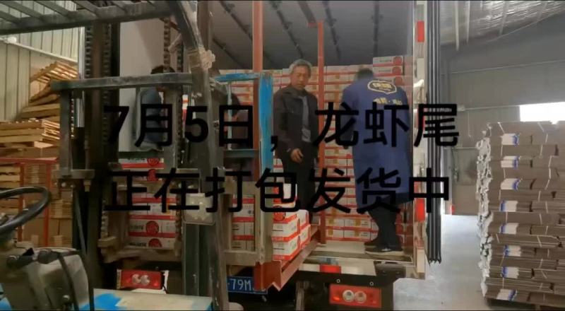 龙虾尾