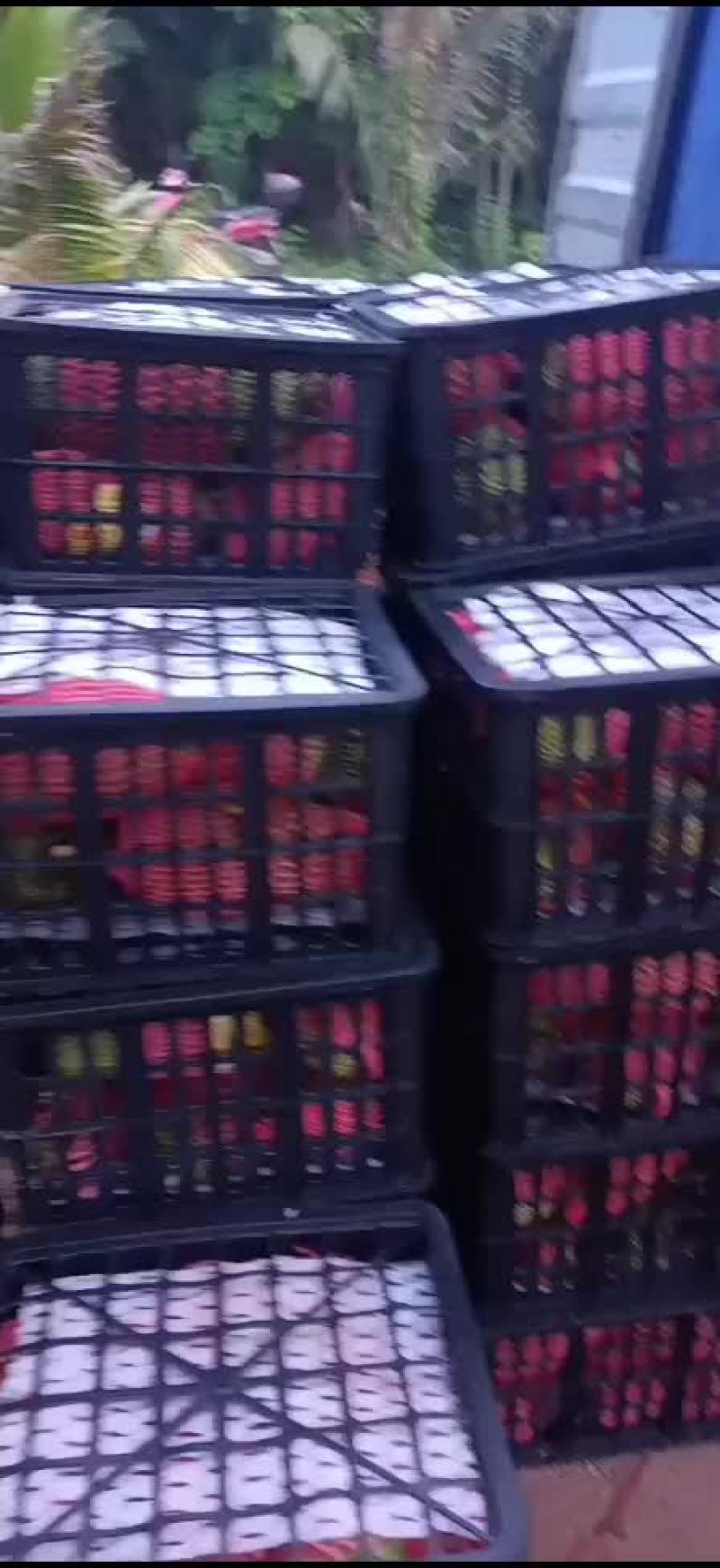 榴莲蜜