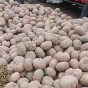 204
