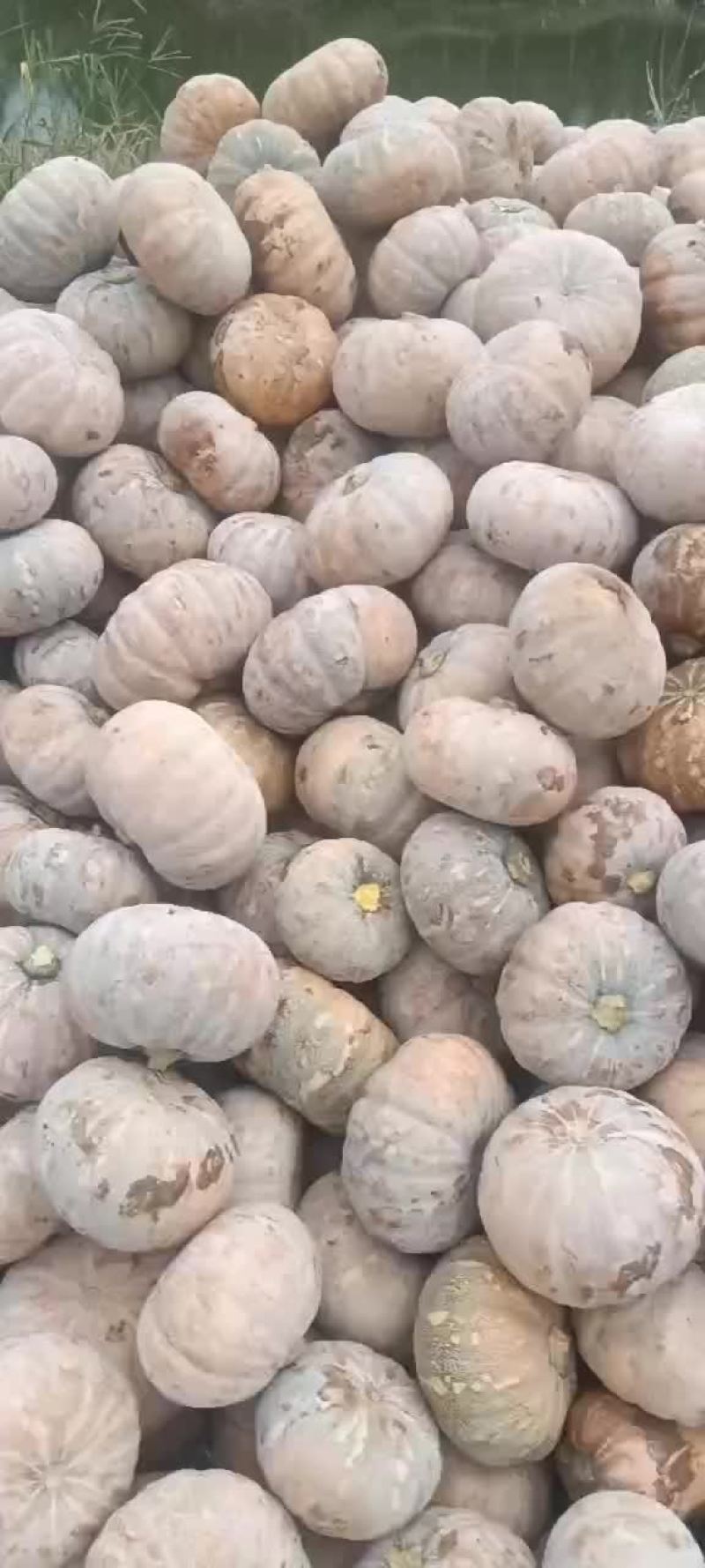 204