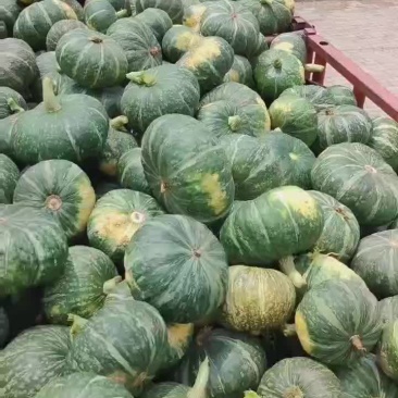 板栗南瓜
