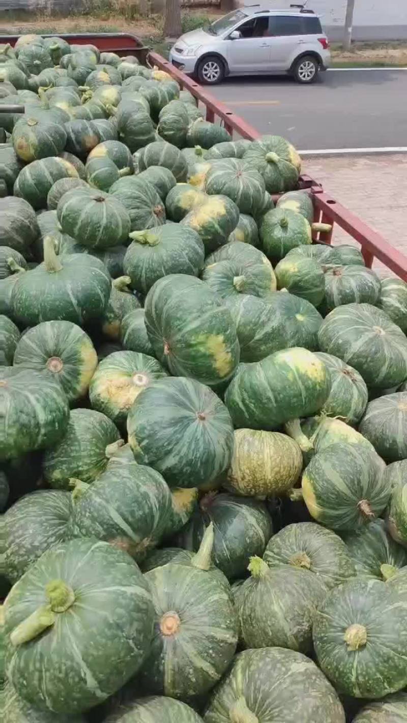 板栗南瓜