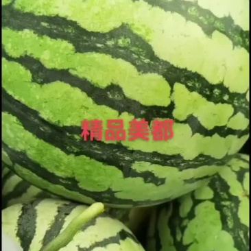 通许县美都，龙卷风大量上市中