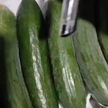 基地直供水果黄瓜